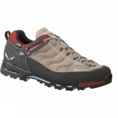 Salewa Womens Mountain Trainer GTX Shoe Funghi / Indio